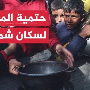 مطالبات بإدخال المساعدات.. برنامج الأغذية العالمي يحذر من مجاعة تلوح في بعض أجزاء قطاع غزة