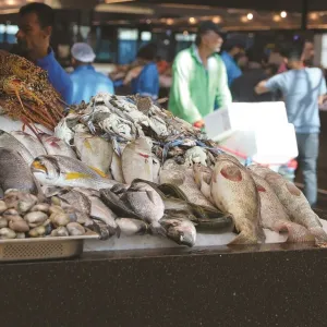 أسواق السمك: ملاذ عشاق المأكولات البحرية في رمضان