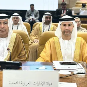 الإمارات تشارك في اجتماعات الهيئات المالية العربية