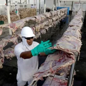 شركة برازيلية عملاقة تستثمر ملياري دولار في مزرعة دواجن ولحوم بالمملكة