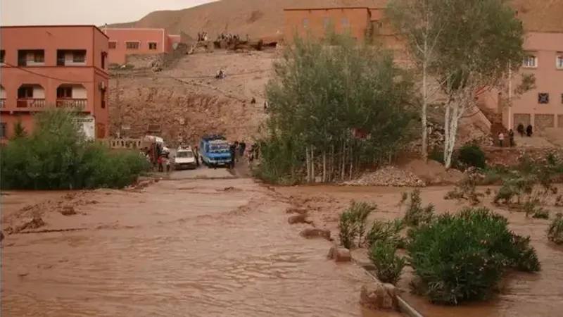 هل تعوض الحكومة متضرري فيضانات الجنوب الشرقي؟