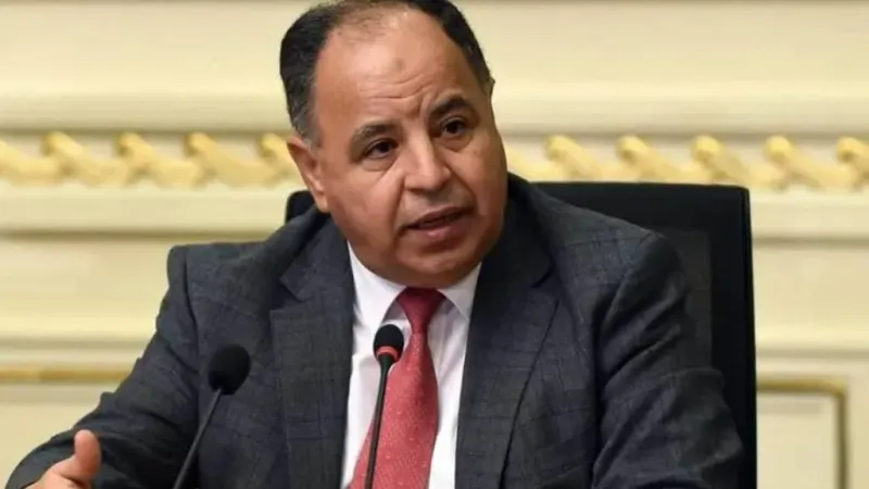 وزير المالية المصري: دعم المواد البترولية ضد مصلحة الدولة