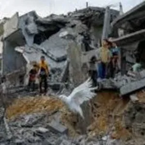 البيت الأبيض يطالب إسرائيل بإعادة تغطية وكالة أسوشيتد برس المباشرة لغزة