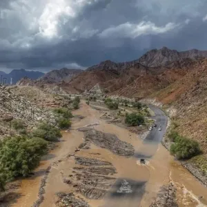 بالفيديو.. هطول أمطار متفاوتة الغزارة على عدد من الولايات