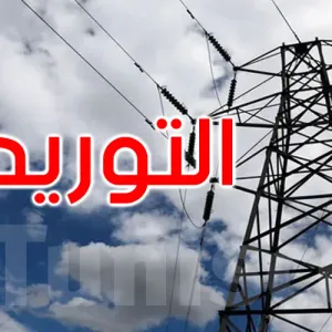 حتى موفى أفريل: تونس غطت 14% من حاجياتها من الكهرباء من الجزائر وليبيا