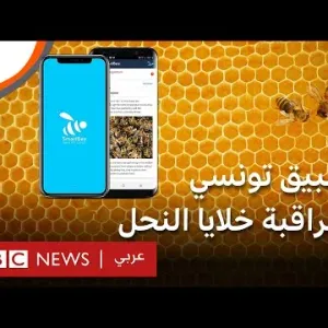 تطبيق تونسي يساعد مربي النحل على مراقبة وحماية الخلايا من الأخطار