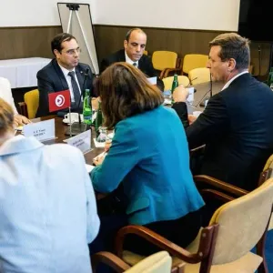 كاتب الدولة لدى وزير الخارجية يترأس اجتماع الدورة السادسة للمشاورات السياسية التونسية التشيكية