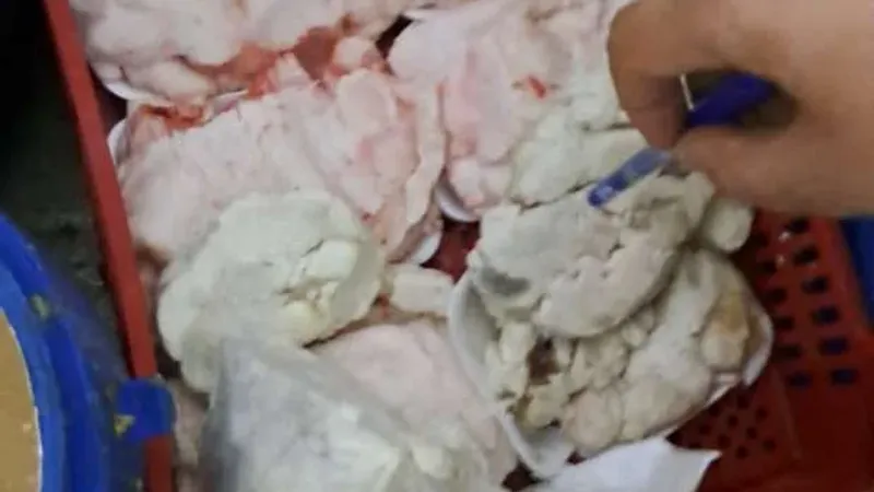 «تموين القاهرة»: ضبط 3.5 طن دجاج وبط مجهول المصدر في ثلاجة ومطعم شهير