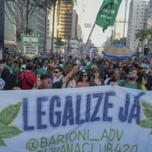 فيديو. مظاهرات في البرازيل لدعم تشريع الماريجوانا