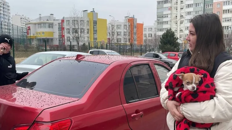 قذيفة أوكرانية تسقط على امرأة وكلبها في أحد شوارع بيلغورود (فيديو+صور)