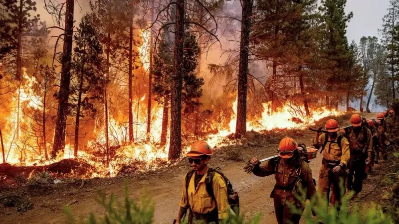 إجلاء آلاف الأشخاص شمال كاليفورنيا بسبب حرائق الغابات