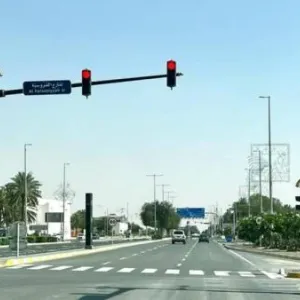 بلدية أبوظبي تحقق نسب تعافٍ عالية من المنخفض الجوي
