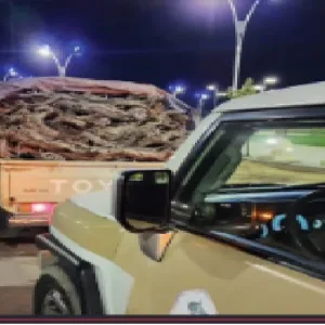 شرطة محافظة طبرجل تضبط مخالفًا لنظام البيئة بحوزته حطب محلي