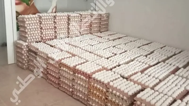 حجز 67 ألف بيضة معدّة للإحتكار بهذه الجهة