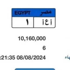 سعر لوحة سيارة "أ ع أ - 1" المميزة يتخطى 10 ملايين جنيه