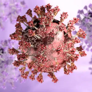 اكتشاف آلية هروب فيروس SARS-CoV-2 من جهاز المناعة