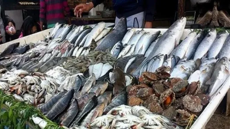 تراجع جديد في أسعار الأسماك والجمبري اليوم الاثنين 22 أبريل 2024