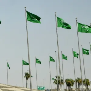 السعودية.. ما حقيقة "القلعة" التي ظهرت بعد سيول وادي فاطمة بمكة؟ (فيديو)