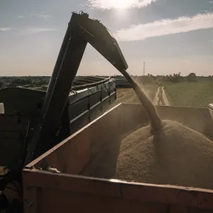 وزارة الزراعة الأميركية تحذر من قلة إمدادات الحبوب الموسم المقبل
