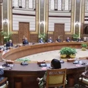الرئيس السيسى يؤكد حرص مصر على وقف نزيف الدم فى قطاع غزة