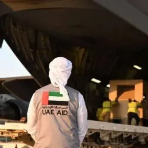 من الإمارات إلى غزة.. 214 طائرة و720 شاحنة محملة بالمساعدات الإغاثية