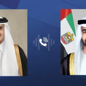 رئيس الدولة وأمير قطر يبحثان العلاقات الأخوية والتطورات في المنطقة