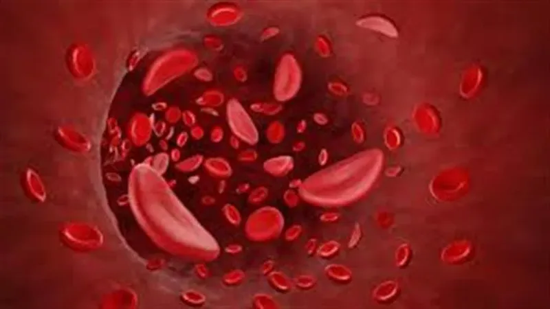 طبيبة تنصح بهذا الفيتامين لزيادة عدد كرات الدم الحمراء