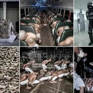 صور صادمة لأسوأ السجون في العالم