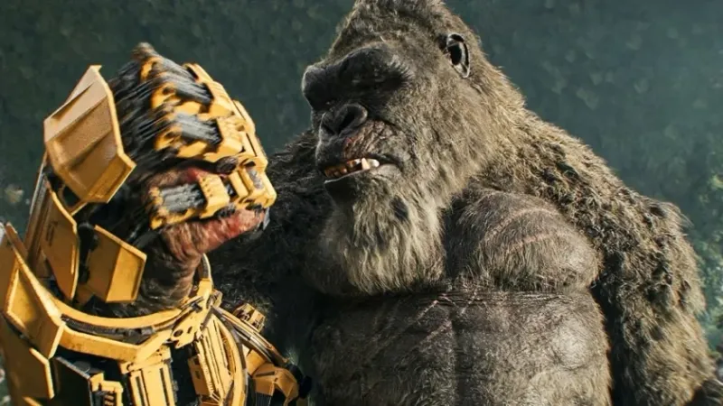 مخرج Godzilla x Kong ينسحب من الجزء السادس بسلسلة الأفلام