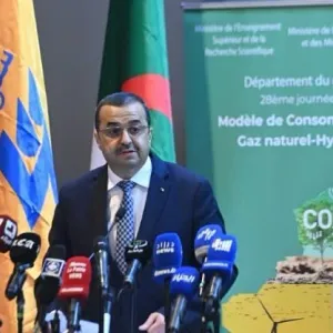 عرقاب: الجزائر تعمل على تجسيد مشروع الممر الجنوبي للهيدروجين بشراكة أوروبية لربط القارتين