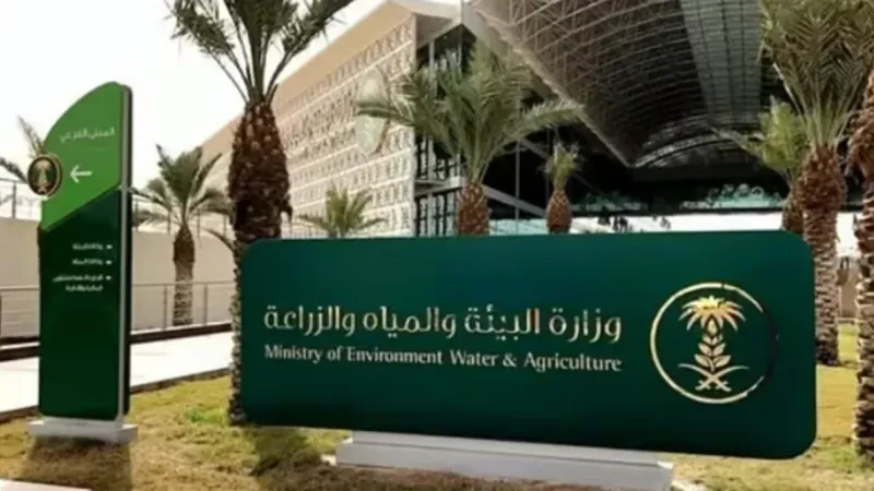 وزارة البيئة: طرح فرصة استثمارية لإنشاء مدينة البن في منطقة الباحة