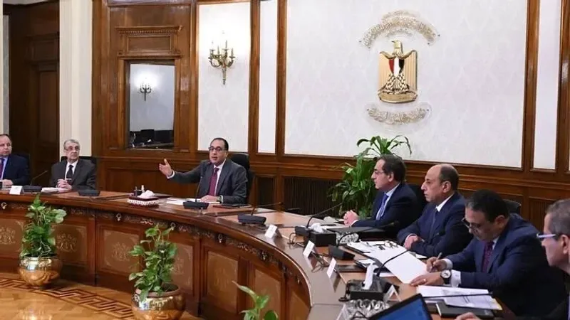 تغيير وزراء المالية والخارجية والتموين في الحكومة المصرية