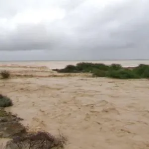بالفيديو.. استمرار هطول أمطار متفاوتة الغزارة على عدد من الولايات