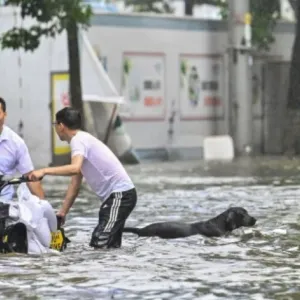 مقتل شخص وإصابة 79 آخرين جراء إعصار شرقي الصين