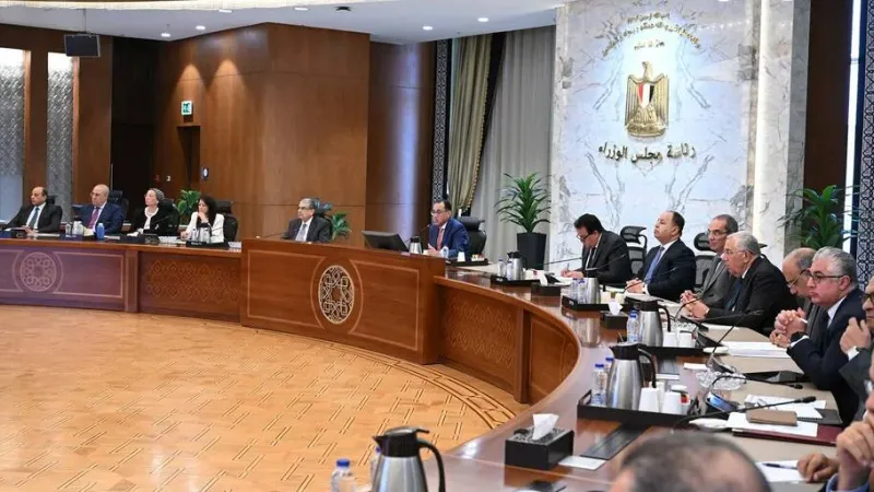 "الوزراء" المصري: المجلس الوطني للتعليم يضم رجال أعمال وخاضع لرئيس الجمهورية