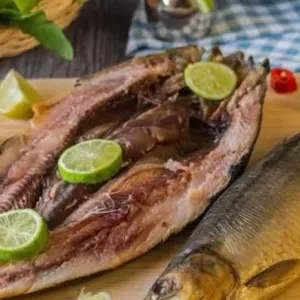عضو «المصرية للحساسية» يوصي بالإكثار من تناول الأسماك الطازجة: ترفع معدلات الذكاء