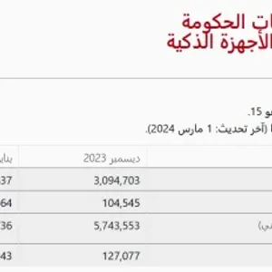 "الحكومة الإلكترونية": 609 آلاف معاملة مالية منجزة بمردود مالي تجاوز 162 مليون دينار