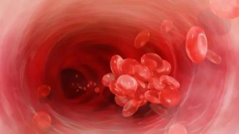 الكشف عن 5 أعشاب تنشط الدورة الدموية وتمنع تجلط الدم