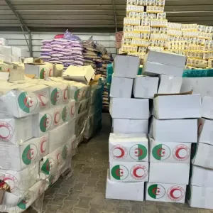 وصول دفعة جديدة من المساعدات الجزائرية إلى غزة (فيديو)