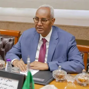 رئيس «موانئ جيبوتي» لـ «الاقتصادية»: شركة سعودية لتشغيل المنطقة اللوجستية الحرة