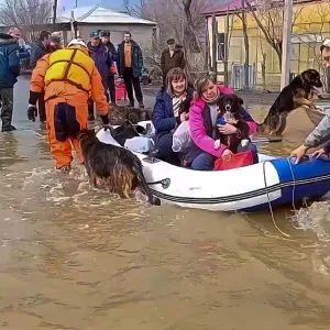 شاهد: السلطات الروسية تكثف جهودها لإجلاء وإنقاذ السكان المتضررين من انهيار سد أورسك