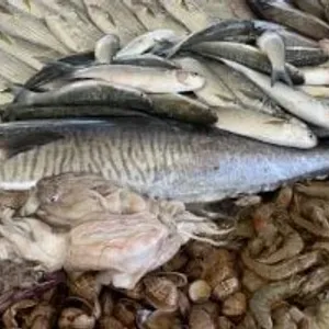 تعرف على أسعار الأسماك فى الأسواق اليوم الأحد 21 مارس 2024