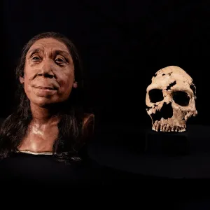 الكشف عن وجه امرأة نياندرتال عاشت قبل 75 ألف عام