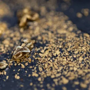 الذهب يبلغ ذروة جديدة والفضة عند أعلى مستوى في 11 عاماً