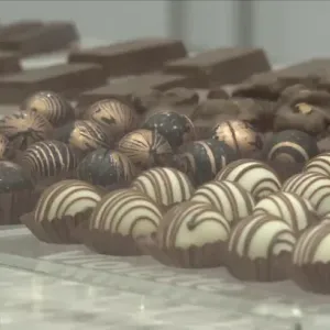 حلويات الشوكولاتة المخبوزة قد تحتوي على نسبة مرتفعة من مواد ضارة