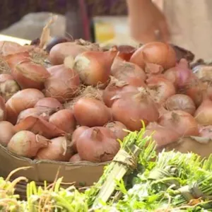 شعبة الخضر والفاكهة: إتاحة محاصيل البصل والبطاطس خفضت الأسعار