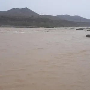 إنقاذ ناقة علقت في الرمال عقب سيول جارفة ضربت سلطنة عمان (فيديو)