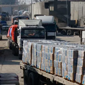 نداء من غزة لزيادة المساعدات الإنسانية: «نحتاج 1000 شاحنة يوميا»