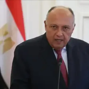 مصر: اتفاقية السلام مع إسرائيل خيار استراتيجي ولها آليات لبحث المخالفات