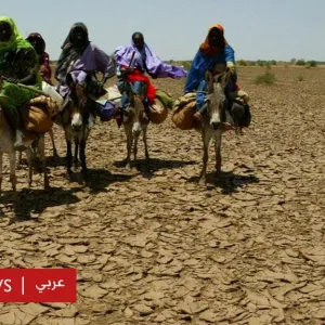 حرب السودان: ماذا نعرف عن مدينة الفاشر المحاصرة بقوات الدعم السريع؟ - BBC News عربي